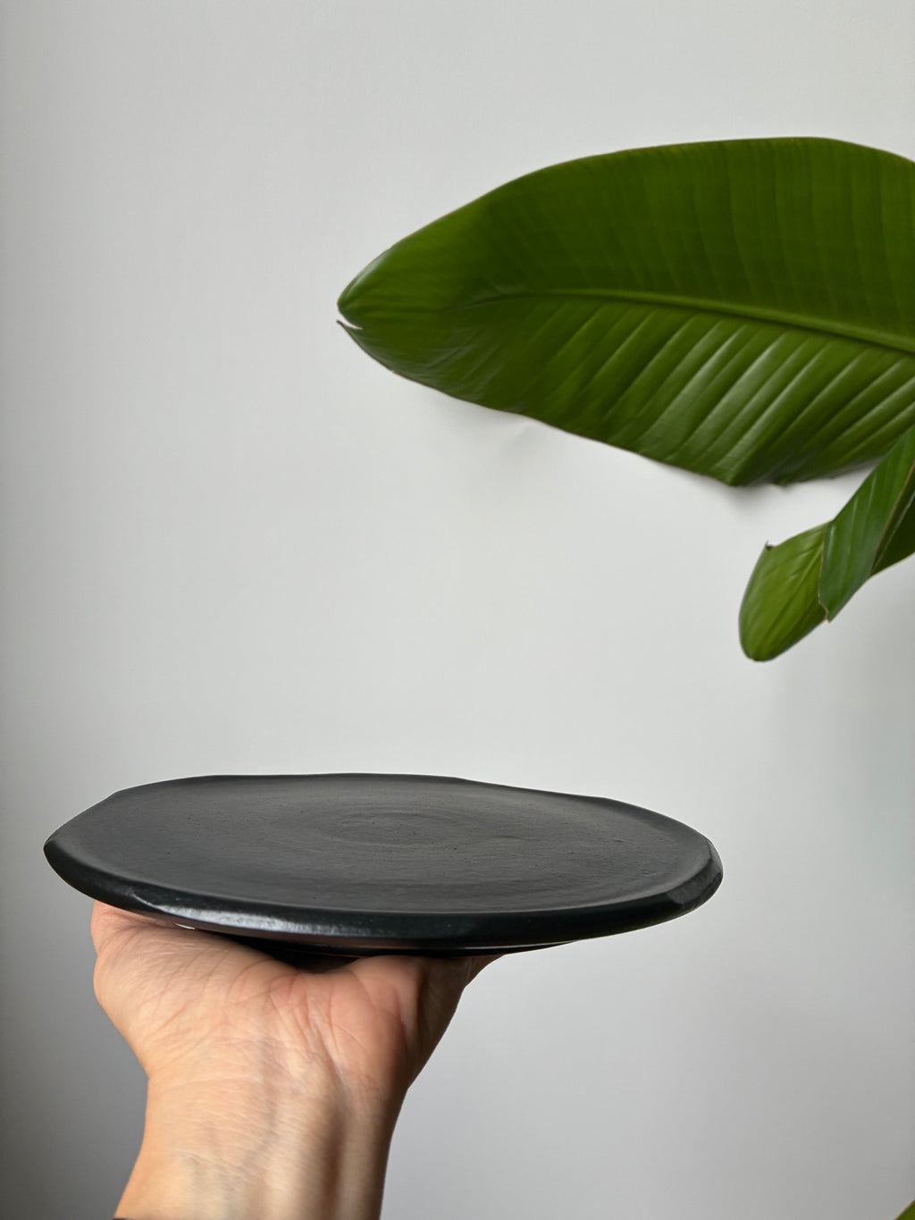 Assiette back to black