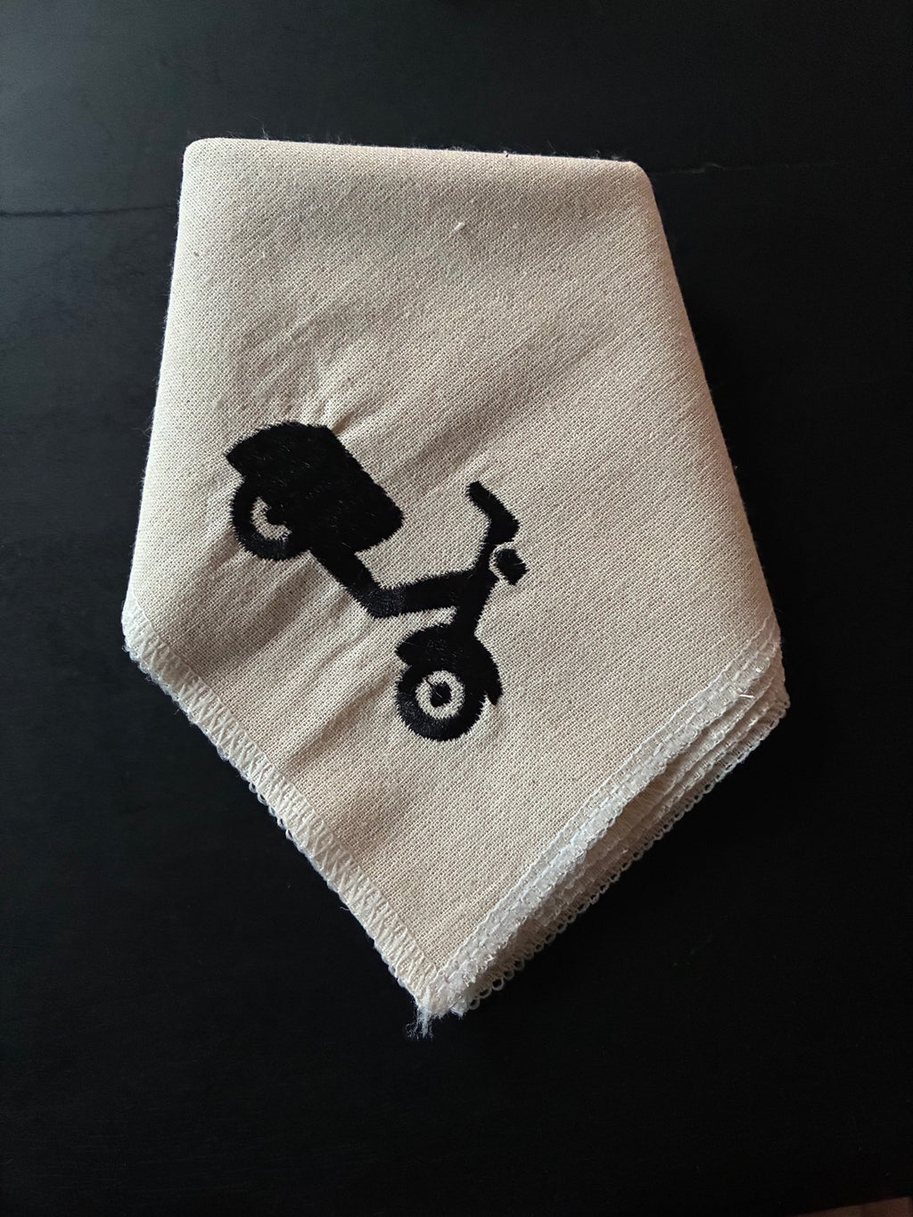 lot de 2 serviettes de table